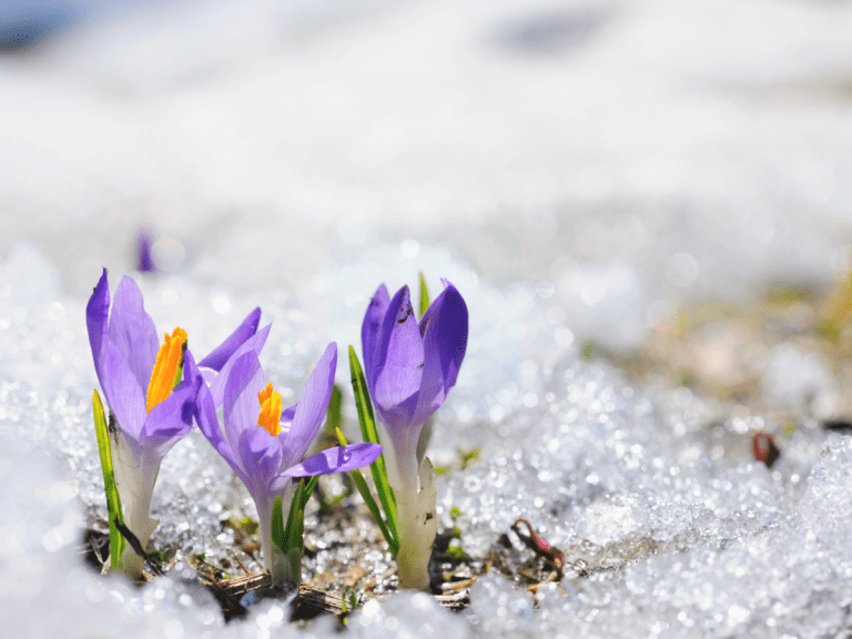 gospel-centered parenting resources