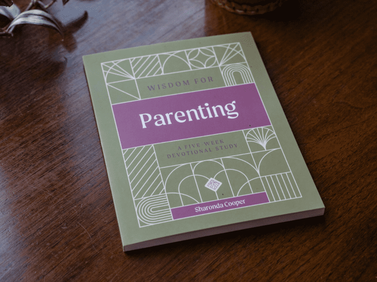 wisdom for parenting book
