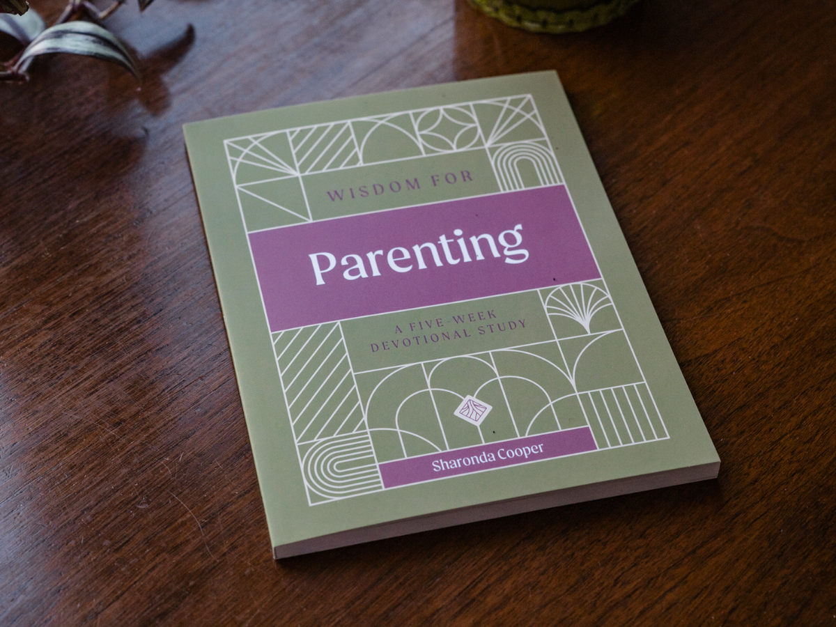 wisdom for parenting book