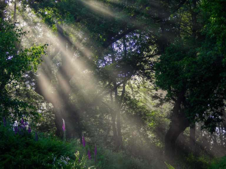 helping children process violence