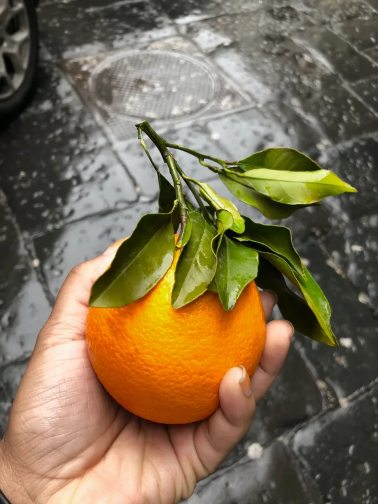 orange peel story